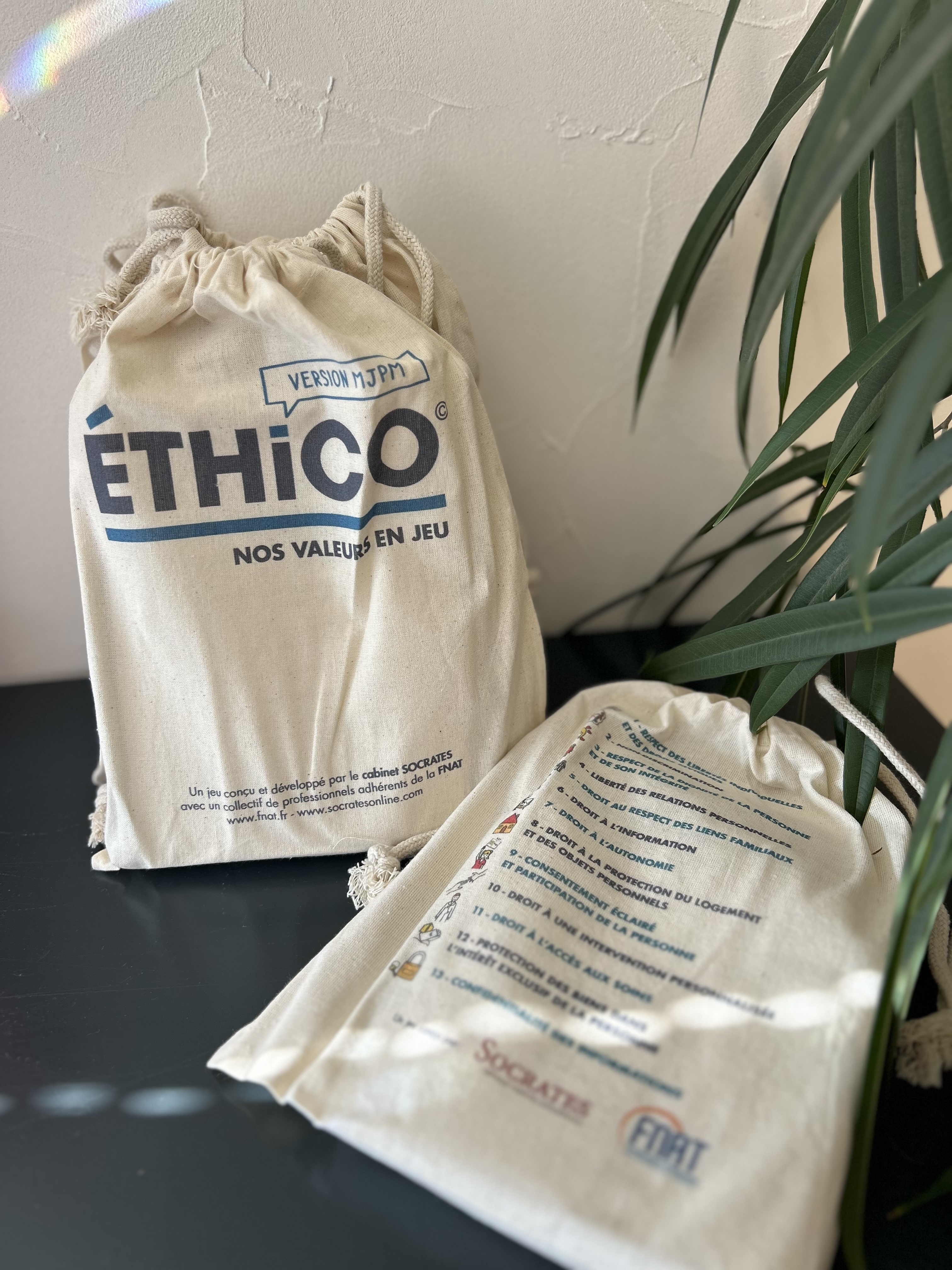 (JEU DE CARTES) Ethico© - Version MJPM - Image 4